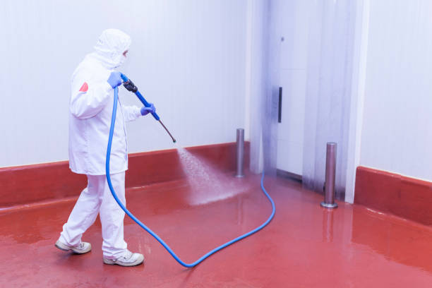 Best Parking Lot Cleaning in Flatwoods, KY