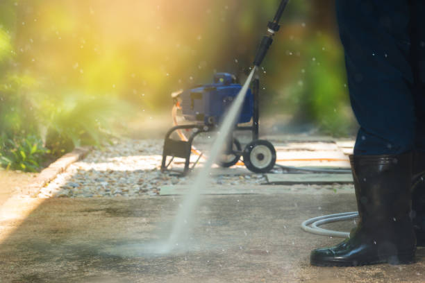 Best Roof Cleaning and Mildew Removal in Flatwoods, KY
